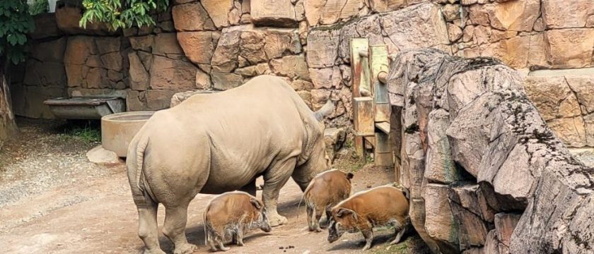 10. Jahrgang besucht den Zoo Osnabrück